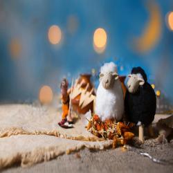 images/eid/2021/08.jpg