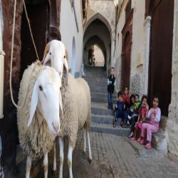 images/eid/2021/12.jpg